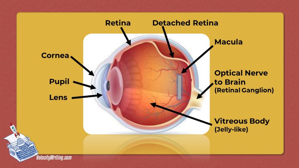 eye care for writers